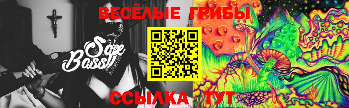 Галлюциногенные грибы Cubensis Вятские Поляны