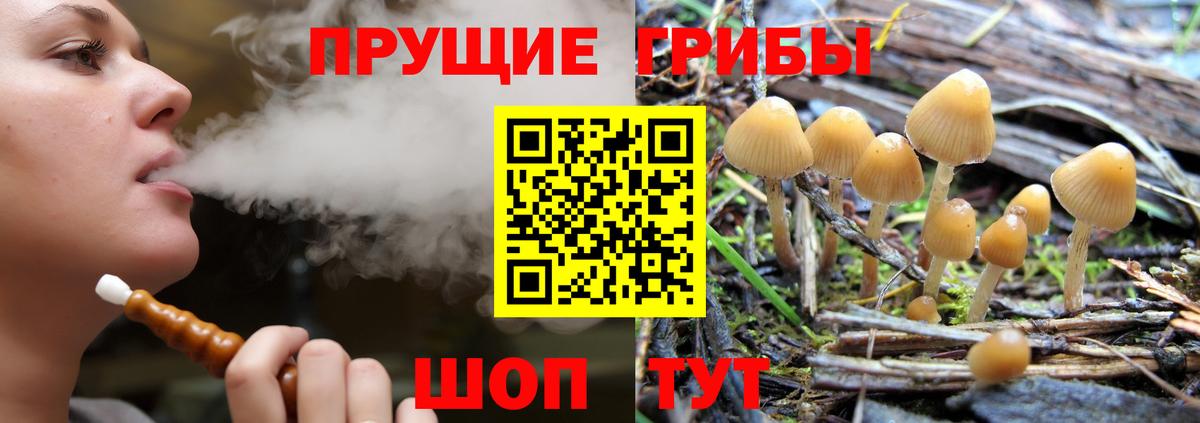 Галлюциногенные грибы ЛСД  закладки  Вятские Поляны  Вход с VPN 